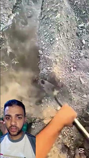 عمليه تسميد الارض بالسماد العضوي قبل الزراعه #farming #satisfying #agriculture #harvest #vegetable