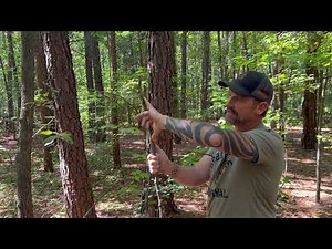 How to Build a Paiute Deadfall Trap | Primitive Survival & Bushcraft Skills