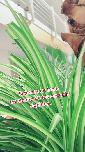 Significado de los lunares en el pecho y su simbolismo