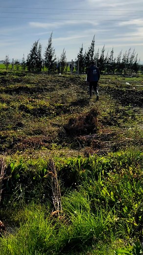 65K views · 1.1K reactions | من المستحسن استعمال هذه الطريقة قبل الشروع في عملية الغرس | بيع أشجار الفواكه المثمرة بالجملة Pépinière d'arbres fruitiers | Facebook