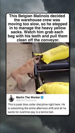 PURE HUSTLE ON THE ASSEMBLY LINE
