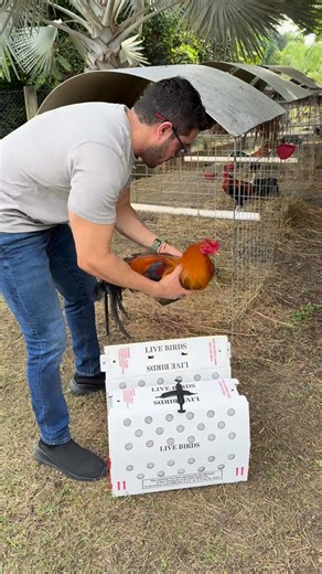 RC Farm on Instagram: "🤪"