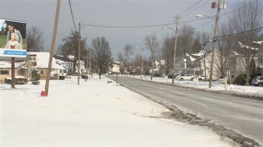 Elyria police: 'Criminal charges are anticipated' after woman fatally struck by car, driver said he thought he hit a deer