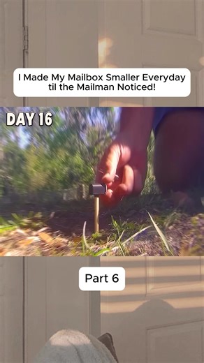I Made My Mailbox Smaller Everyday til the Mailman Noticed! #vlog #troll #prank #viral #fyp