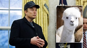 Congress must act on DOGE’s findings of government waste: Expert