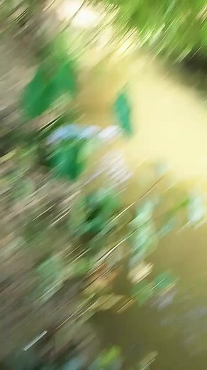 Md Shanu Md Shanu (@md.shanu.md.shanu)’s videos with