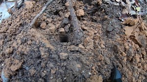 Night Metal Detecting on Alabama’s Haunted Civil War Battlefield