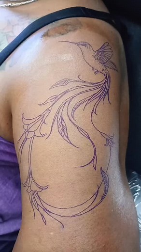 #viral #trending #hummingbird | J.J. Lesperance