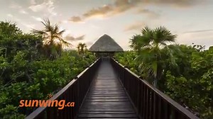 91K views · 251 reactions | A modern and Caribbean contemporary...