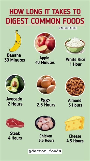 How Long It Takes to Digest Common Foods | Digestion Time Explained #healthyeating #usa