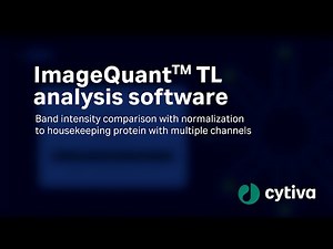 ImageQuant™ TL analysis software - Band comparison to protein with multiple channels