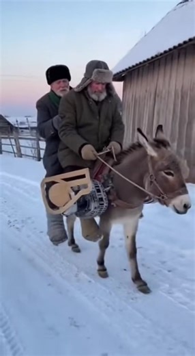 Moșul inventator 😂😂#fyp #goviral #shorts #viral TikTok