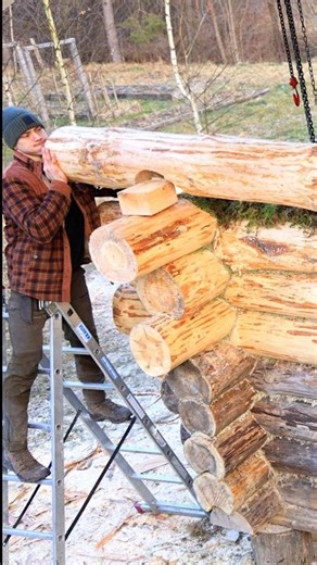 2 Year Building A Log Cabin Alone in the Forest
