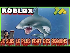 JE SUIS LE PLUS FORT DES REQUINS ! | Roblox SharkBite