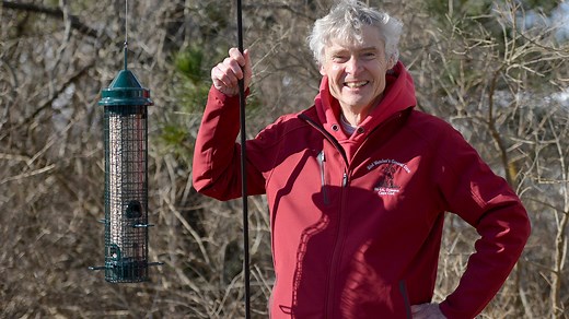 Bird feeder basics: Should Cape Codders feed birds and what's the best way to do it?