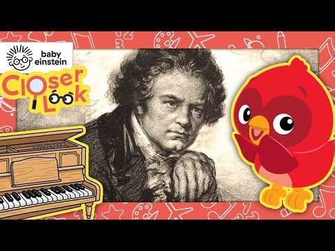 A Closer Look at Mozart and Beethoven | Baby Einstein | Learning Show for Toddlers | Education