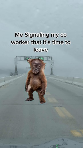 Signaling Your Coworker It's Time to Leave: Quick Office Cues