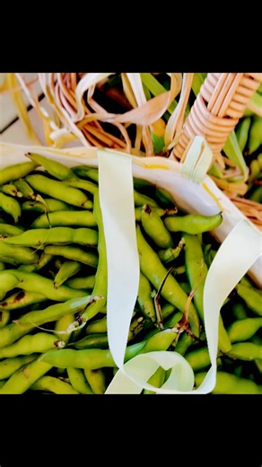 From Sea to Table | Fresh-Caught Salmon Fish Cakes & Broad Bean Salad | Simple Coastal Cooking This morning started out on the ocean — the water calm, the sun just rising. Richard caught a beautiful haul: salmon, snapper, flathead, and nanny guy. I used one big salmon to make homemade fish cakes — mashed potato, onion, lemon, and crispy panko crumbs — fried golden and crunchy in the pan. On the side, I tossed together a broad bean salad straight from the garden — mint, feta, olive oil, pumpkin s