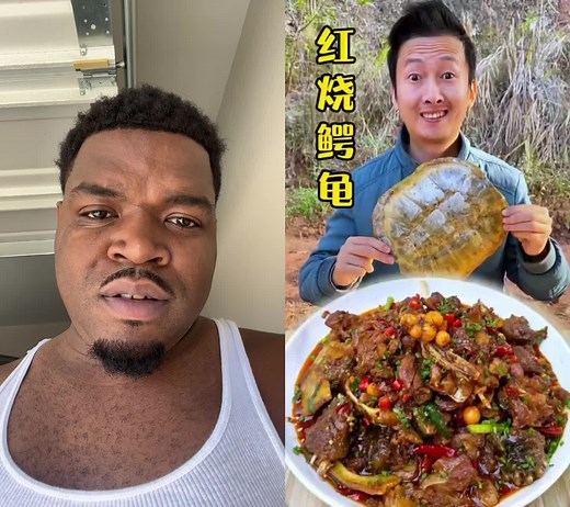 Exploring Snapper Turtle Cuisine and Barbecue Flavors