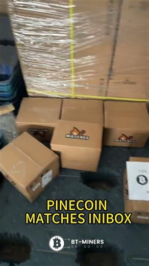 Pinecone Matches INIBOX 850 Mh/s InitVerse Miner | BT-MINERS
