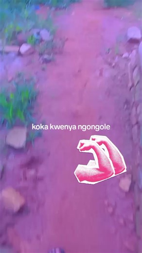 m square (@msquare043)’s videos with By Faith - Lady Aika