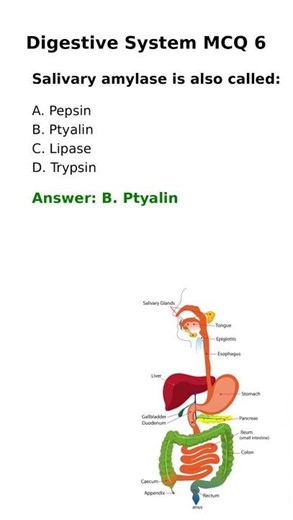 # mcqs on digestive system @