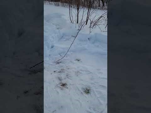 Snow Fort Build: Tools, Wear, and Stay Grounded - Friday Funday