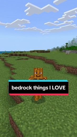 Bedrock Edition: Things I Love