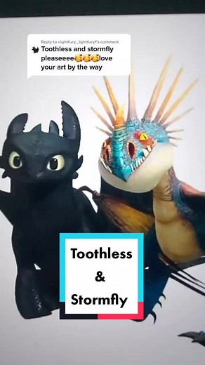 Toothless and Stormfly Mashup