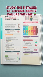 39K views · 411 reactions | Acute vs Chronic Kidney Disease Review! Check out our study guide books here: https://ow.ly/Ou6y50W5HQw . . . #kidney #nursing #healthcare | SimpleNursing | Facebook