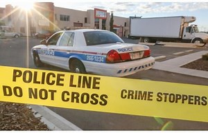 Calgary Film Festival: Wolves Unleashed offers intimate look at misunderstood animal