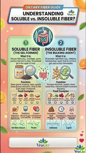 🌿 VruOn Dietary Fiber Guide | Soluble vs. Insoluble Fiber