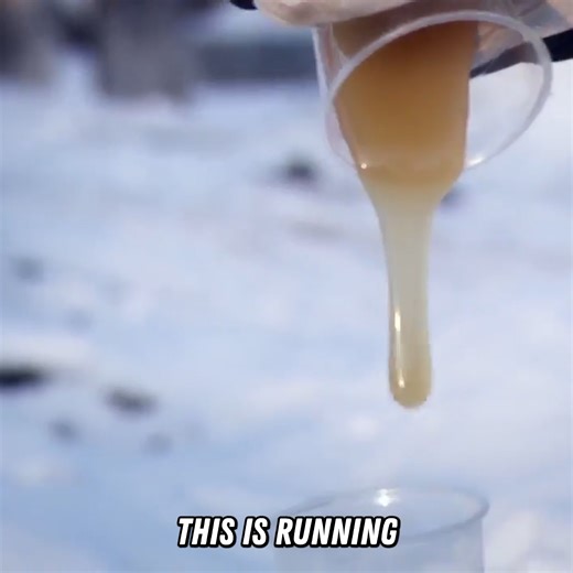 Synthetic vs. Mineral Oil: Huge Difference | Fifth Gear