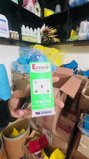 Protect Your Baby Pigeons from Mosquitoes