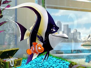 Find Nemo