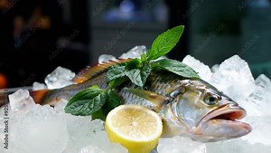 Fresh Fish Display in Glass Case: Offering Preserved Quality for You