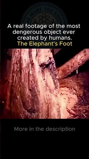 Real Video Of The Elephant's Foot!