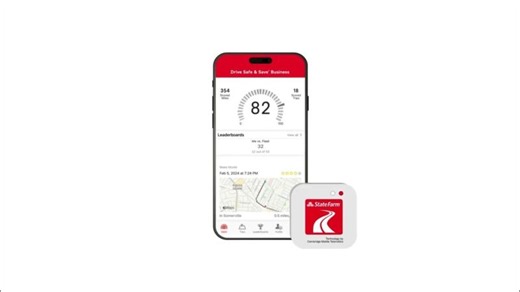 Drive Safe Save Business® Overview | Donna Comer