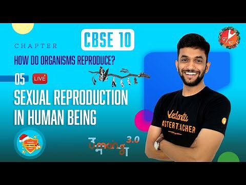How Do Organisms Reproduce? Part5 |Sexual Reproduction in Human Being |CBSE Class10‪@Vedantu9_10‬