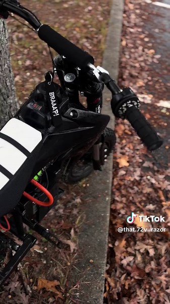 Squatted Razor: Exploring Performance and Style of the eBike