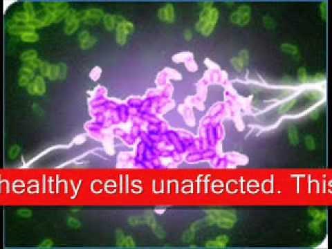 Recent Electromedicine History: Bob Becks blood electrifier, magnetic pulser, Candida Zapper