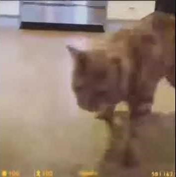 node graph out of date