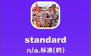standard：标准的_哔哩哔哩_bilibili