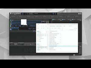 4.4 Sampler – Beginner's Guide to Phase Plant