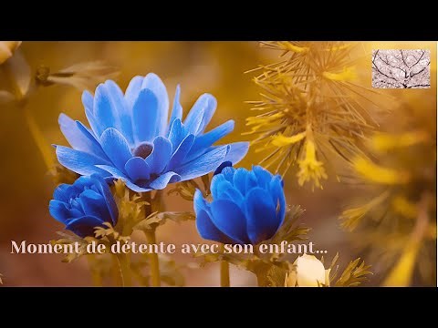 Temps calme maternelle 💤 Musique douce avant le coucher 💤 la sieste 💤 ou calmer l'hyperactivité 💤