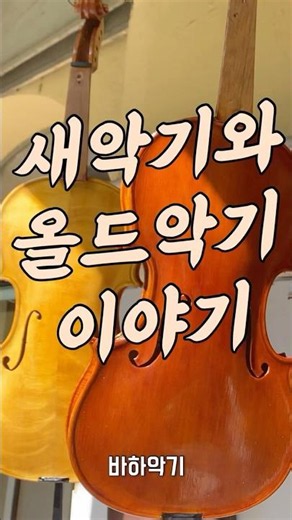 새악기와 올드악기 이야기 #바이올린 #비올라 #첼로