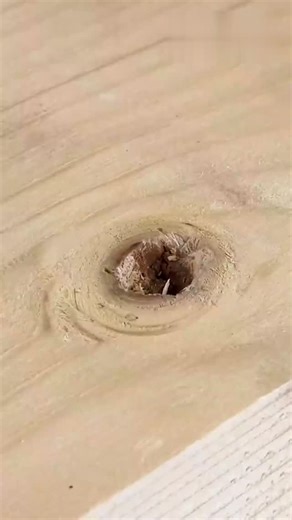 Kira Outdoors on Instagram: "Wood holes fix technique #diy #wood #hole #fix"