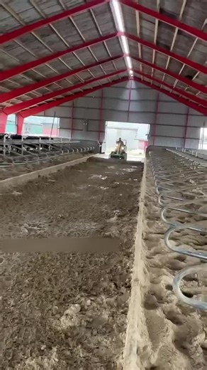 Discover the Magic of AI at Balli Bot Mogis