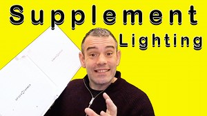 Glow In The Dark Garden Pebbles Buyers Guide