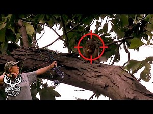 Squirrel Hunting With a Bow and Arrow